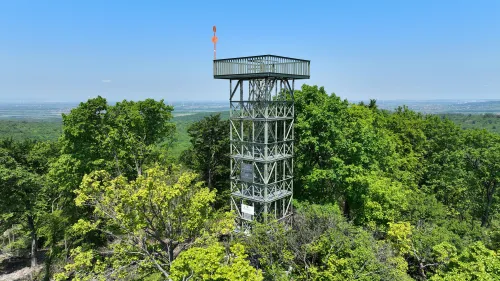Buchkogel u Wildonu