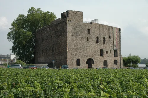 Hrad Brömserburg