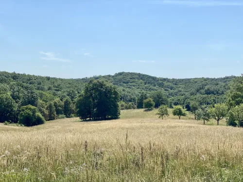 Kleine Eichberg