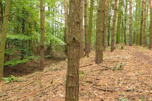 Fortifikace Na Valech u Horního Přímu