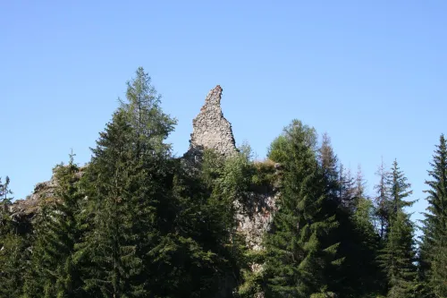 Ruines du château de Friberg