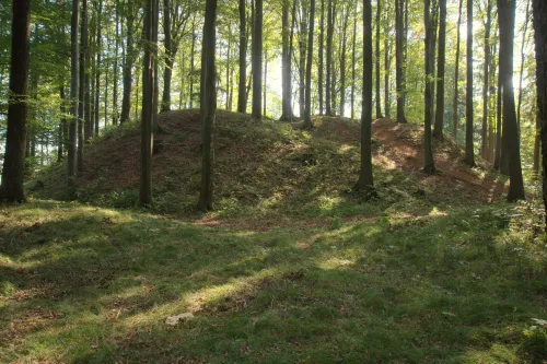 Zřícenina hradu Heinrichsbürg