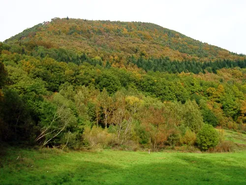 Hora Hohenberg