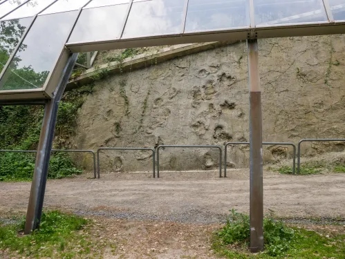 Dinosaur Tracks in Barkhausen