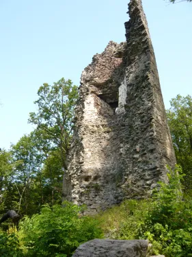 Zřícenina Živánské věže