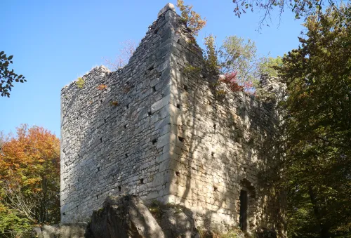 Zřícenina hradu Alt-Wildon