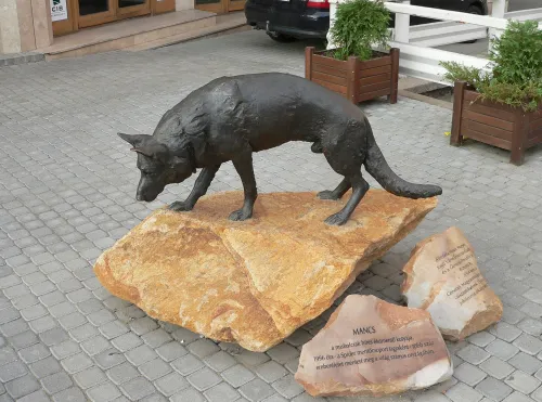 Statue du chien Mancs à Miskolc