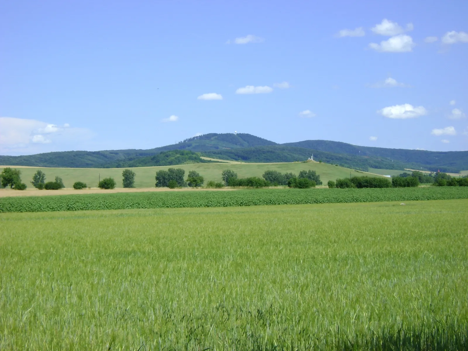 Vrch Velký Bučeň