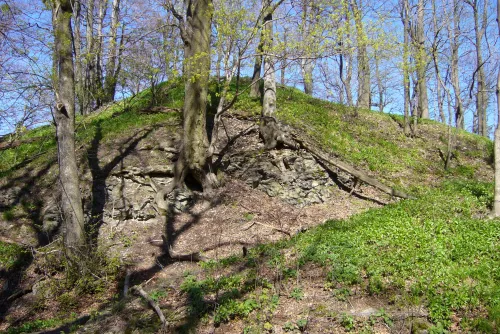 Zřícenina hradu Falkenberk