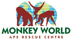 Monkey World Ape Rescue Centre