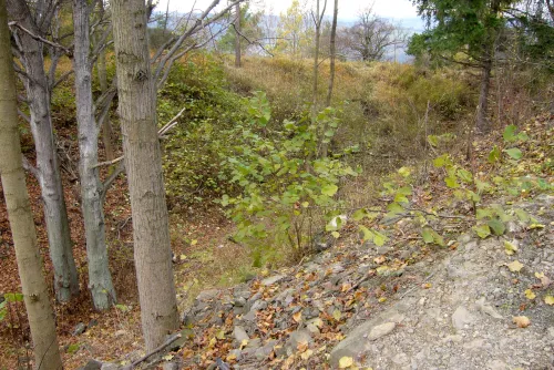 Hrad Nevděk