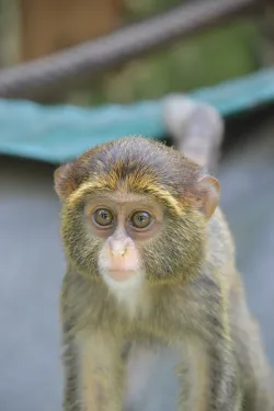 Zoo Bratislava