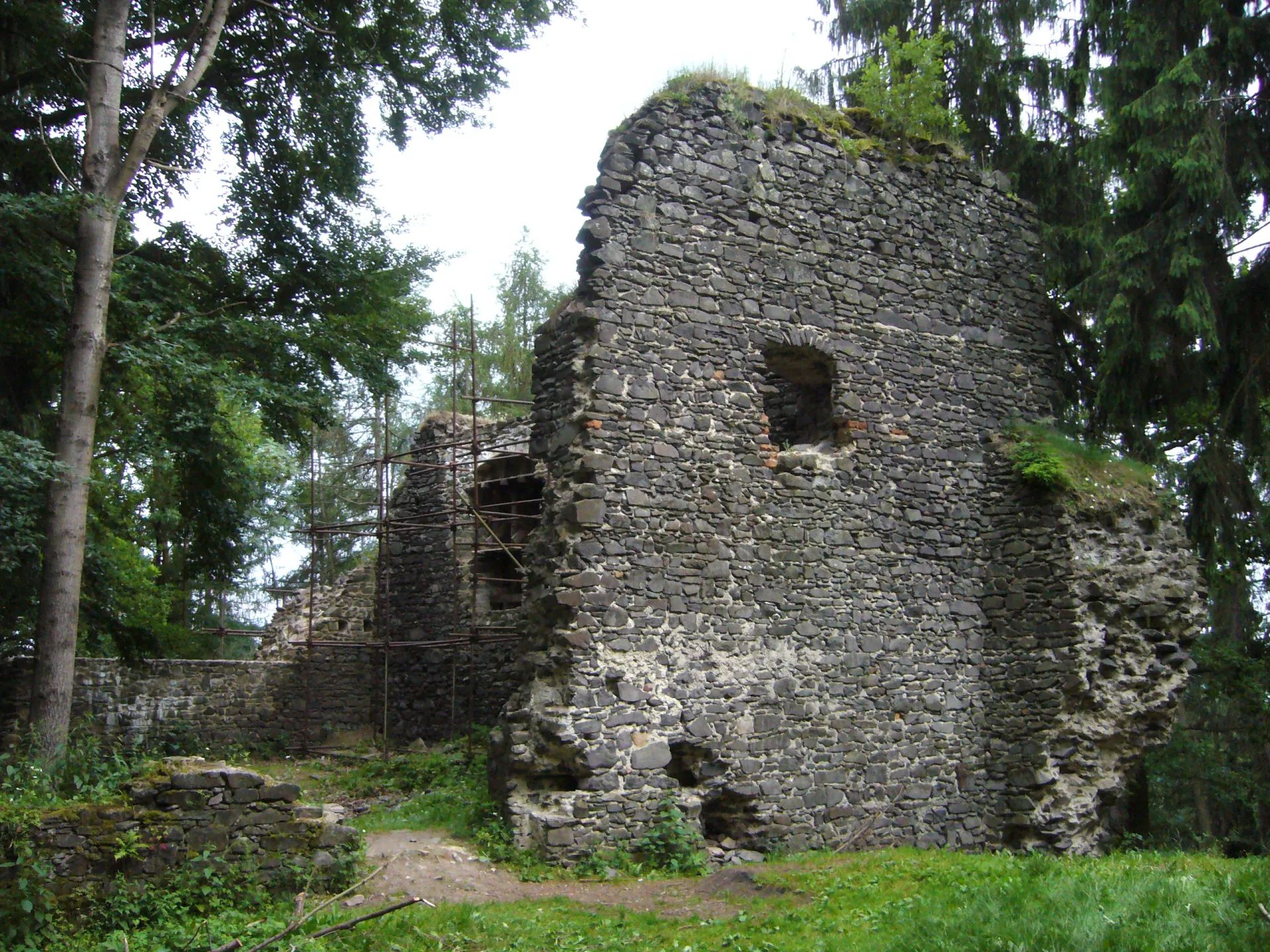 Zřícenina hradu Volfštejn