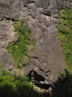 Old Cave
