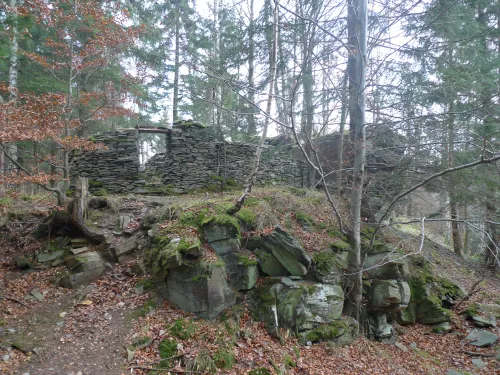 Zřícenina hradu Freudenštejn