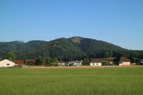 Generalkogel