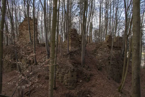 Ruina del castillo de Haimburg