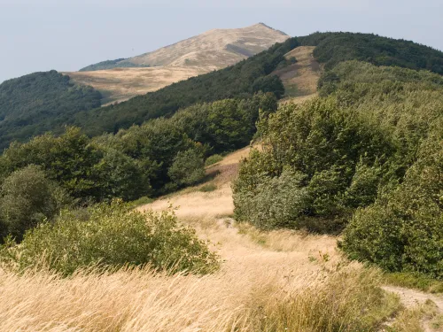 Cumbre de Szare Berdo