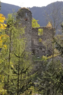 Zřícenina hradu Twimberg