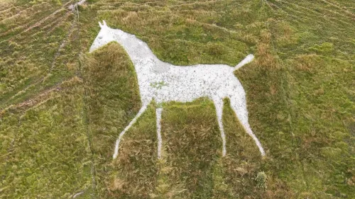 Cherhillský Bílý kůň