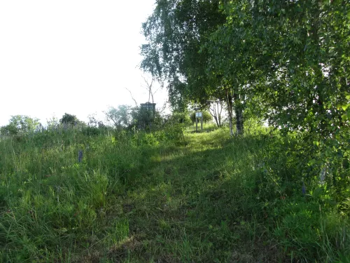 Hora Nevaišių