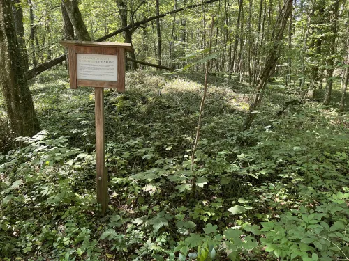 Mohylové pohřebiště Winkling