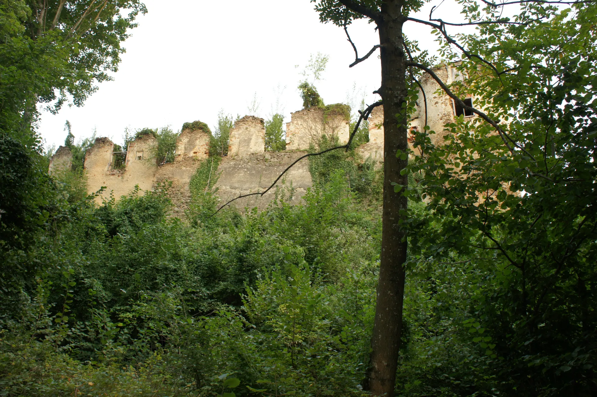 Zřícenina hradu Bärnegg