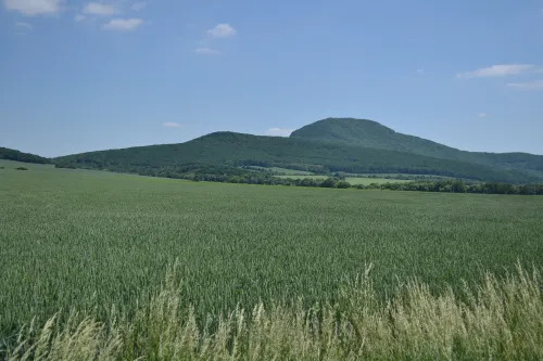 Vrchol Žibrica