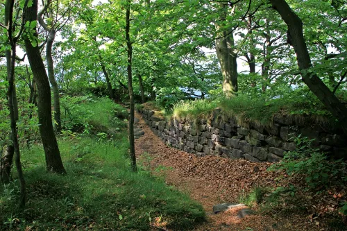 Burgruine Lilienstein