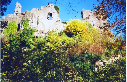 Ruina del castillo de Frankenbourg
