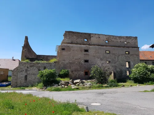 Zřícenina tvrze Vyšehořovice