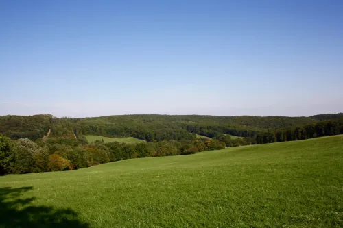 Divoká hora