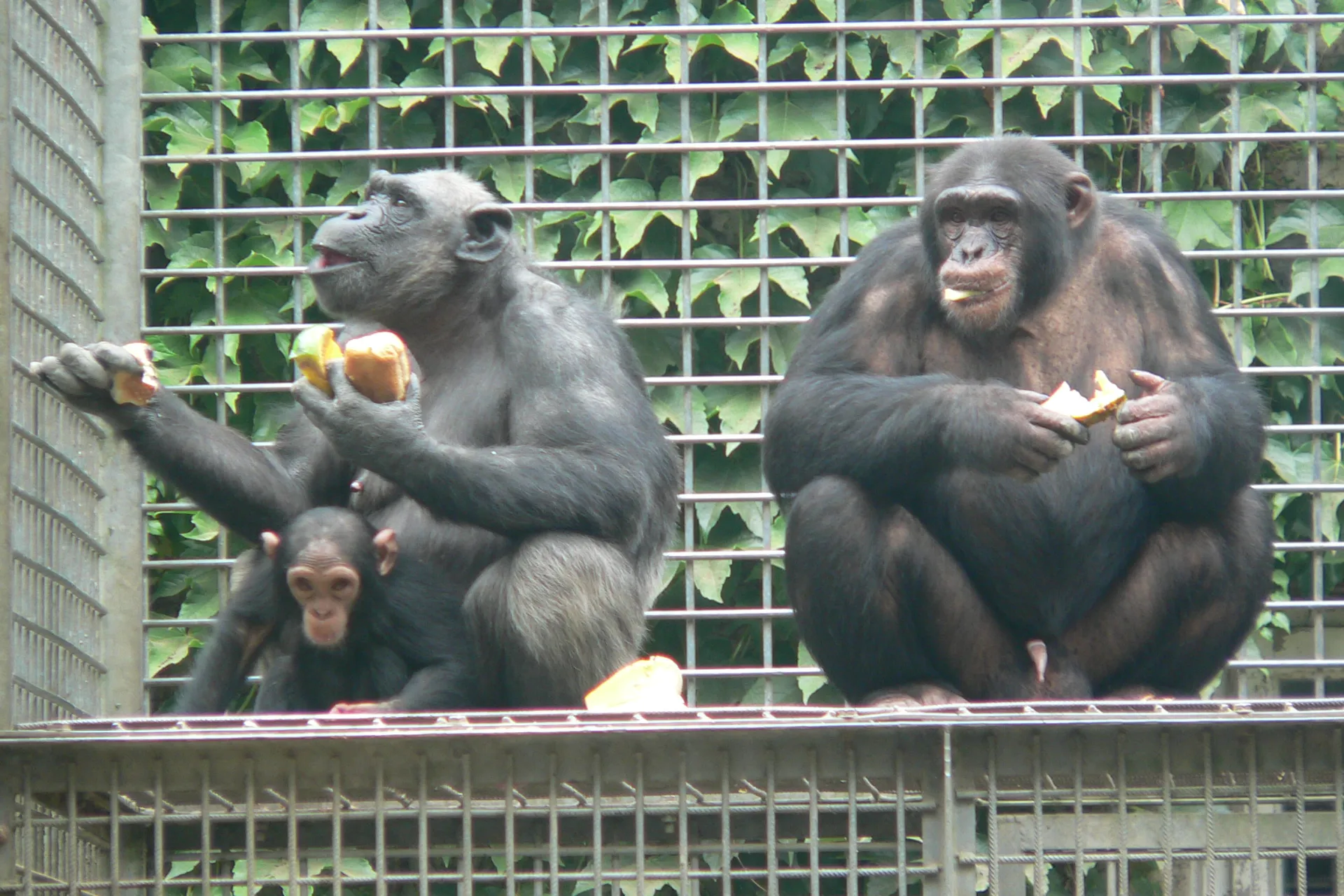 Leintalzoo Schwaigern