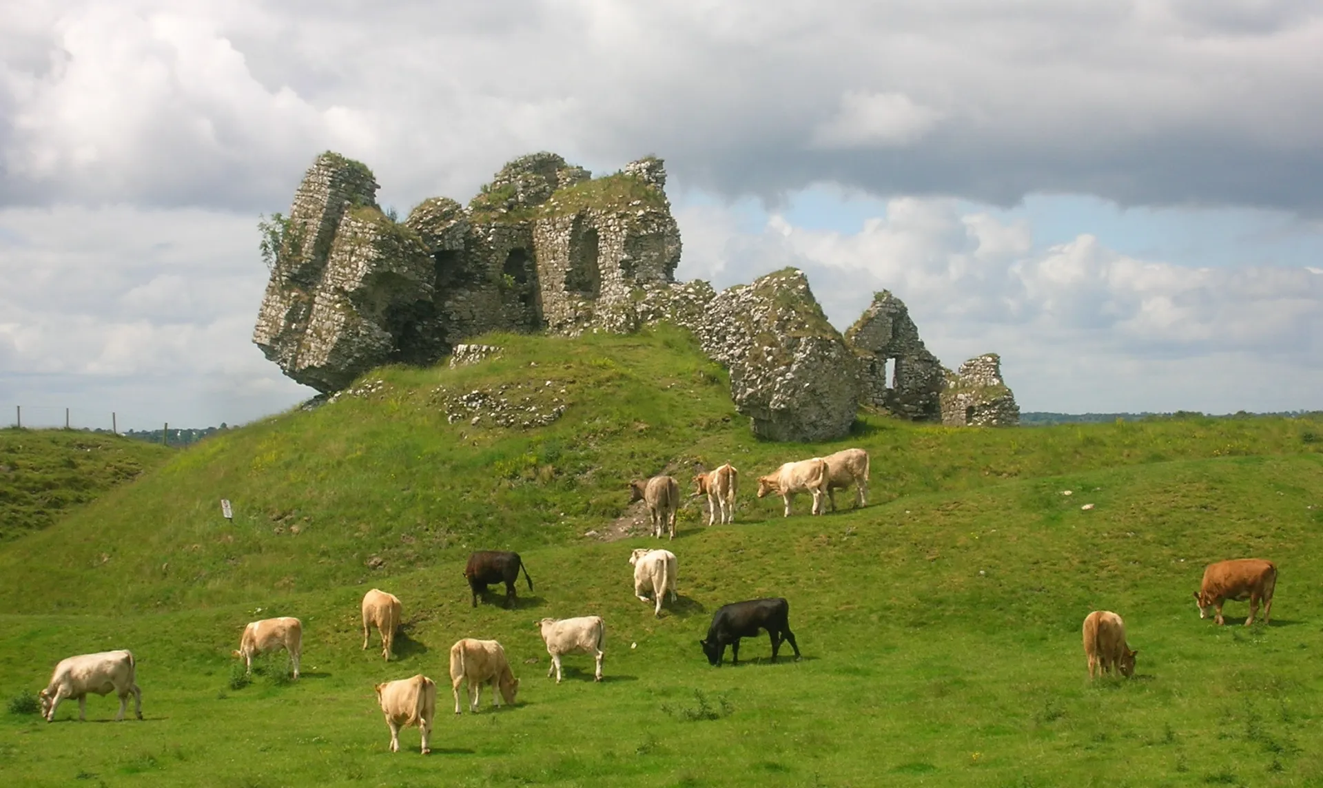Zřícenina hradu Clonmacnoise