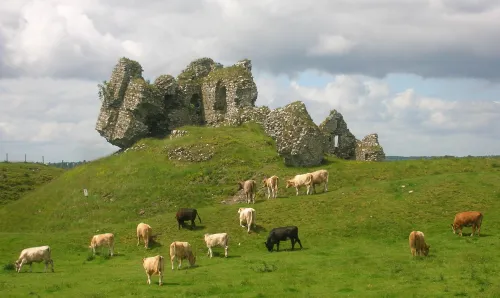 Zřícenina hradu Clonmacnoise