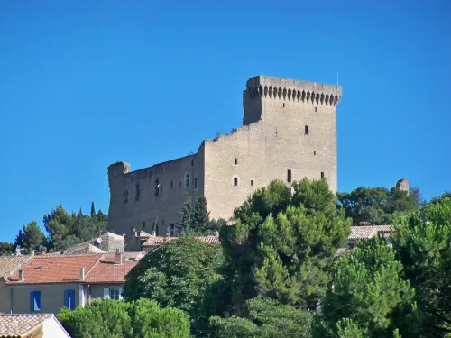 Hrad Châteauneuf-du-Pape