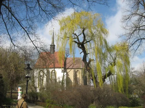 Křížový kostel v Žitavě