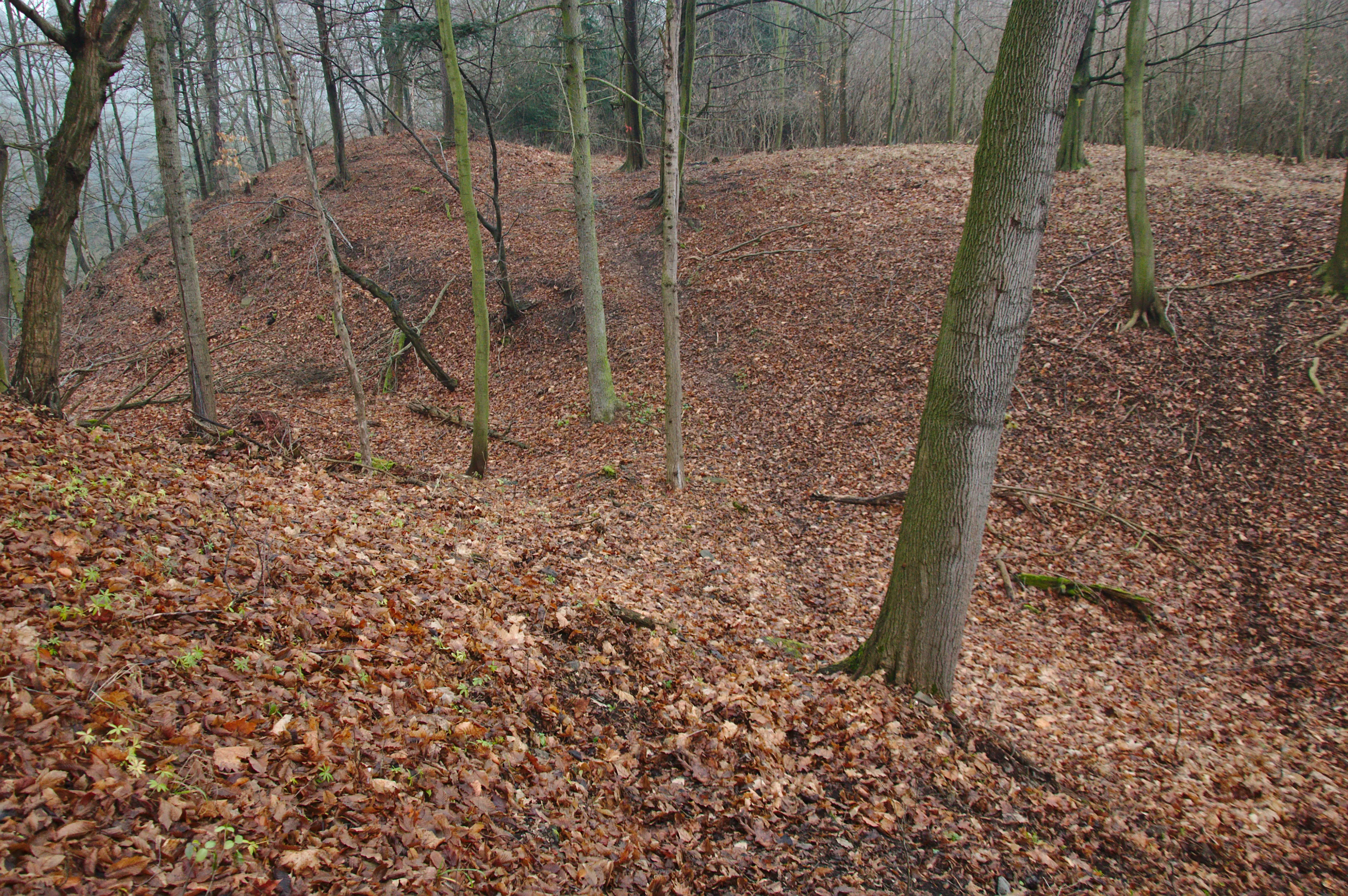 Zřícenina hradu Ježův hrad