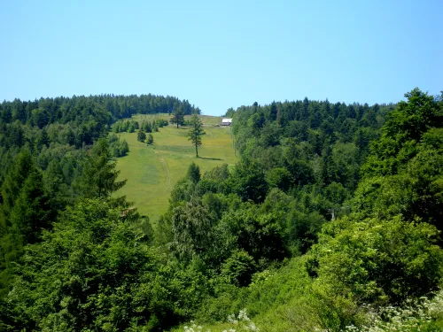 Vrch Bučie
