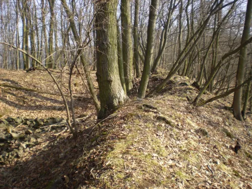 Zřícenina hradu Horákov