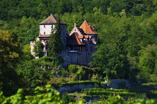 Hrad Reichenberg