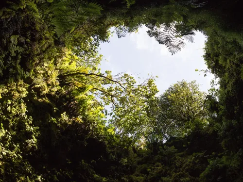Algar do Carvão