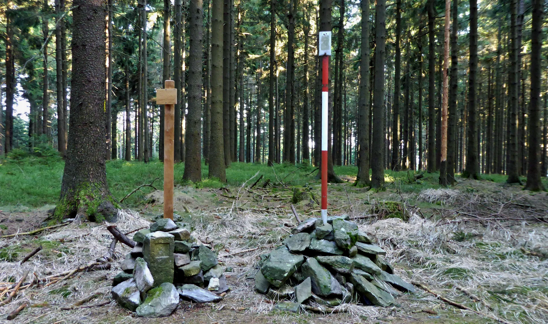 Vrch Křovina