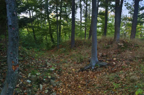 Zřícenina hradu Plankenberk