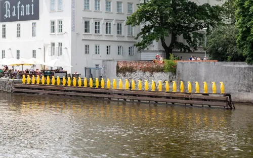 Žlutí tučňáci na Vltavě