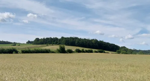 Zajęcza Kępa