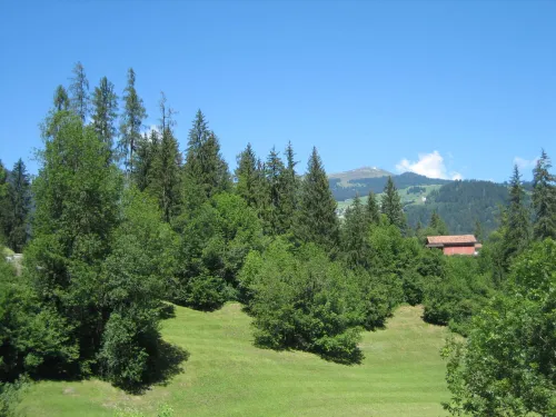 Ruines du château de Castrisch