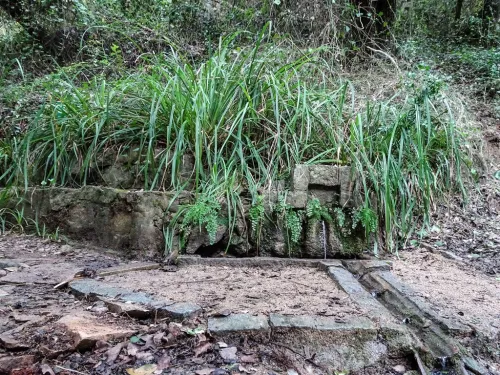 Source d’Àlbers d’en Javà