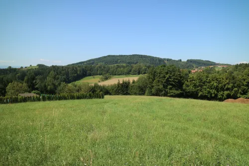Vyhlídková věž Stephanienwarte na Platte