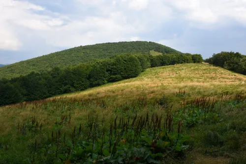 Czoło Peak